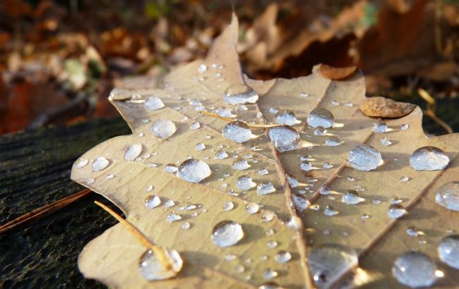 В Україні завтра потеплішає до +20