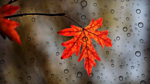 Свято 16 жовтня: що не можна робити, щоб не накликати біду