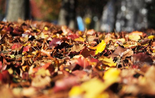 Погода на сьогодні: в Україні переважно без опадів, температура до +30