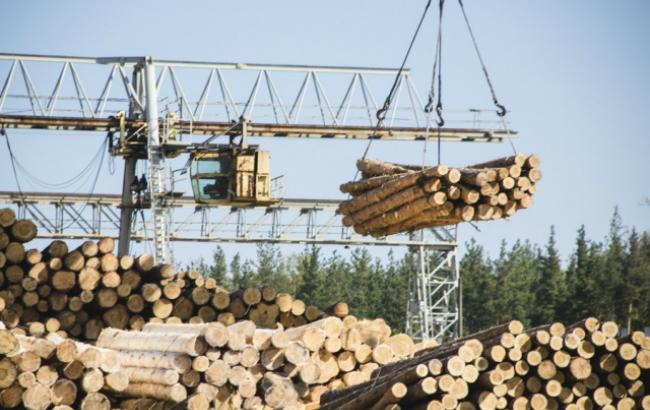 Для будівництва фортифікацій до зони АТО поставлено майже 42 тис. кубометрів лісу, - Держлісагентство