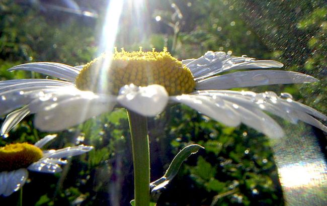 Погода на сегодня: в Украине дожди, температура до +27