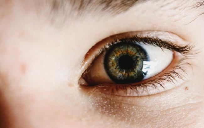 Вчені створили першу в світі синтетичну сітківку ока