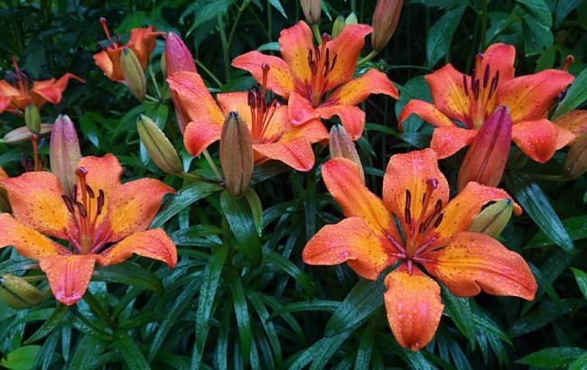 Атмосферный фронт: синоптик предупредила о резком изменении погоды