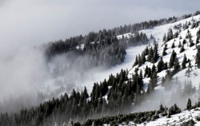 ГСЧС: в Карпатах повышенная лавинная опасность удержится 6-7 марта