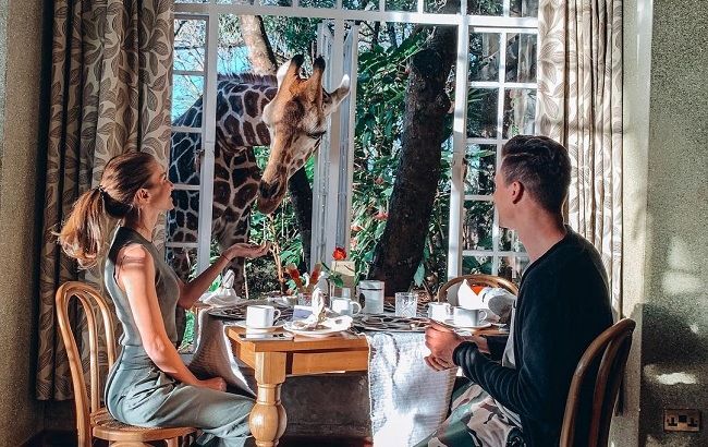 Сніданок з жирафом: український ведучий вразив казковими фото з Африки