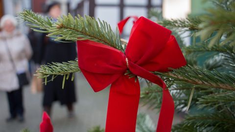 З'явився перелік офіційних ринків у Києві, де купити новорічну ялинку: беріть на замітку