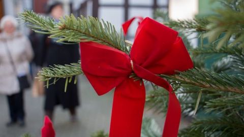 Украинцам объяснили, как купить новогоднюю елку и не отравить семью