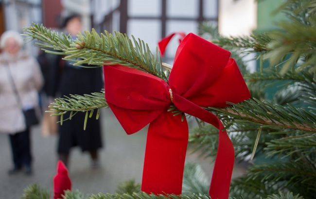 Украинцам объяснили, как купить новогоднюю елку и не отравить семью