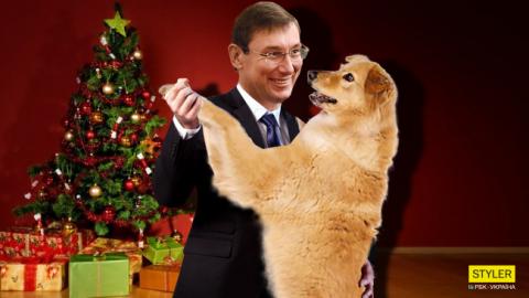 "З Паніним не порівнювати": мережу потішило відео, де Луценко танцює з собакою
