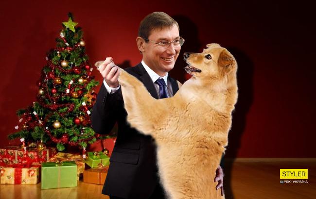 "З Паніним не порівнювати": мережу потішило відео, де Луценко танцює з собакою