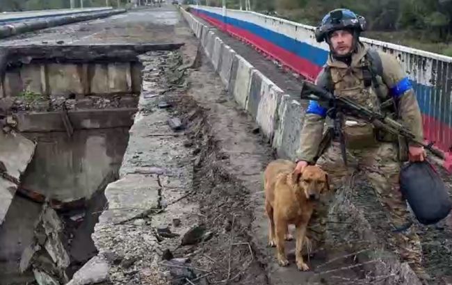 "Ляля - визволителька Куп'янська": неймовірна історія собаки, яка разом із військовими зачищала територію