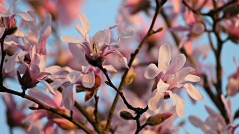 "Вітер-дощ, хмари-сонце": синоптик дала прогноз на вихідні