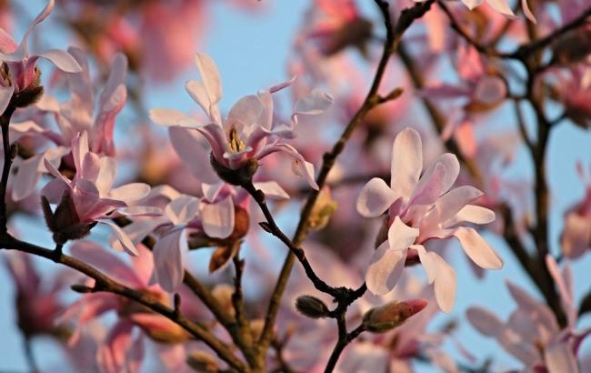 "Ветер-дождь, тучи-солнце": синоптик дала прогноз на выходные