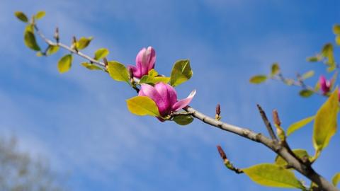 18 квітня: важливі події в історії