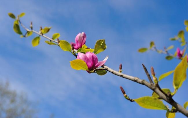 18 квітня: важливі події в історії