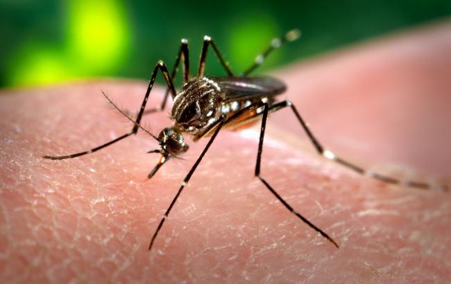 В Запорожье зарегистрирована вспышка тропической малярии