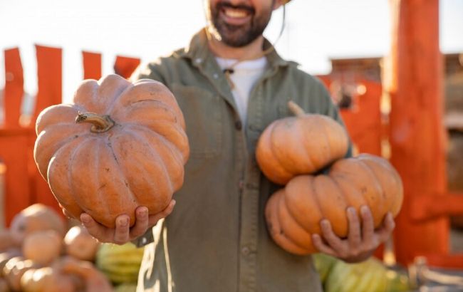 Не поспішайте збирати врожай гарбуза: коли та як це правильно робити