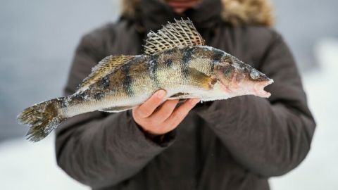 Як завчасно підготуватися до зимової риболовлі: що треба для гарного улову