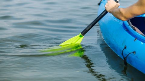 Жіноча збірна України стала віце-чемпіоном Європи з академічного веслування (фото)