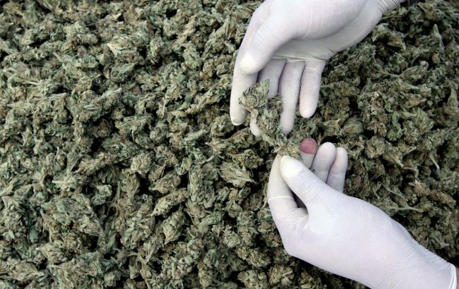 Полиция обнаружила в Черниговской области оружие и бидон марихуаны
