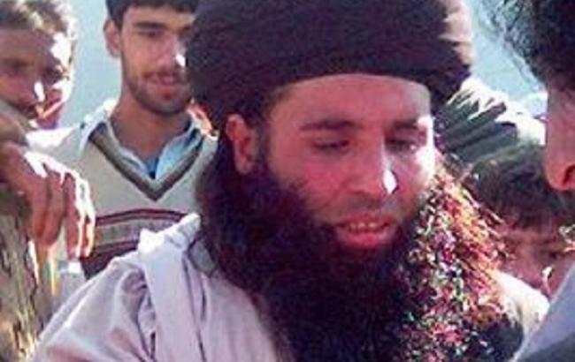 Лидер "пакистанских талибов" ликвидирован в результате авиаудара США