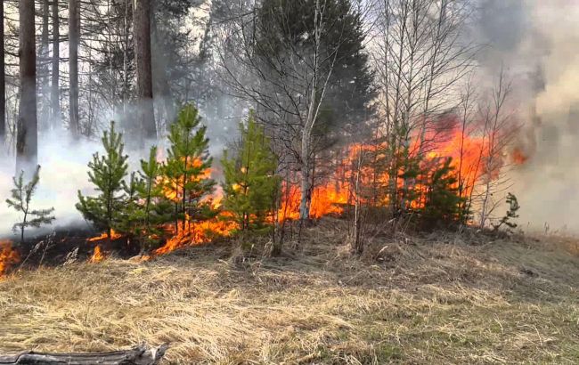 Синоптики предупреждают о чрезвычайном уровне пожароопасности в Украине 9-11 августа