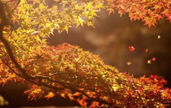 Погода на сегодня: в Украине дожди, температура до +16