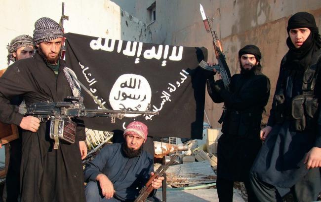 Коалиция Запада освободила от ИГИЛ 27% территории Сирии, - Госдеп