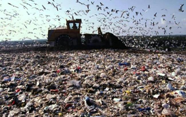 В Севастополе жалуются на свалки на улицах города