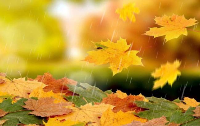 Погода на сегодня: в Украине местами дожди, температура до +13