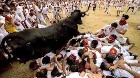 В Іспанії під час забігу биків постраждали четверо людей