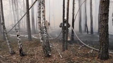 Пожежу в Чорнобильській зоні загасили