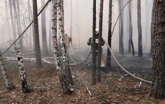 Пожежу в Чорнобильській зоні загасили