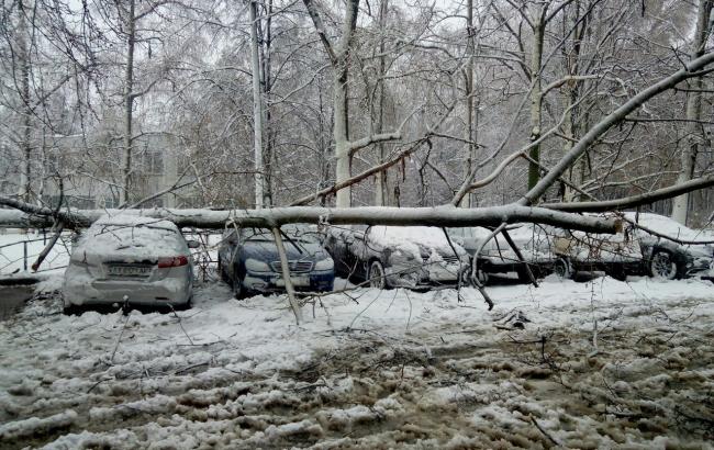 В Харькове выпало аномальное количество снега