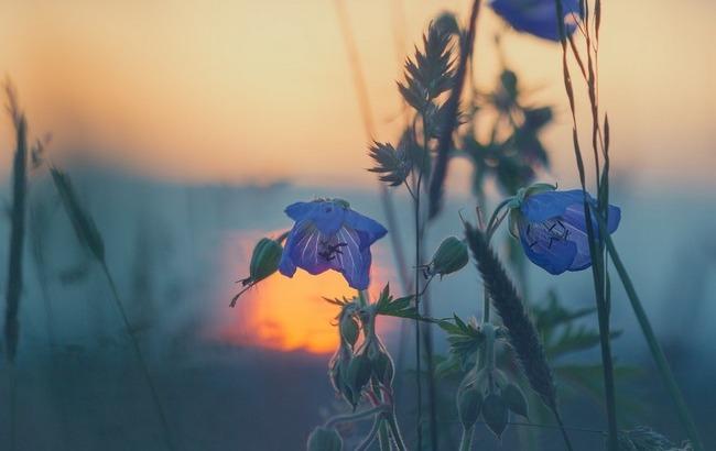 "Накроет циклон": синоптики дали прогноз погоды на понедельник