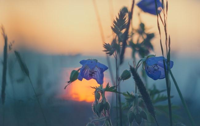 "Повеет арктическим холодом": синоптик предупредила об изменении погоды