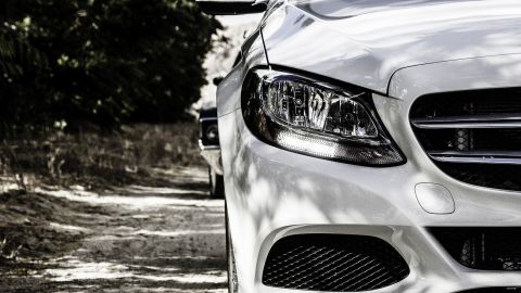 В Киеве сильный ветер: что делать если на авто упало дерево