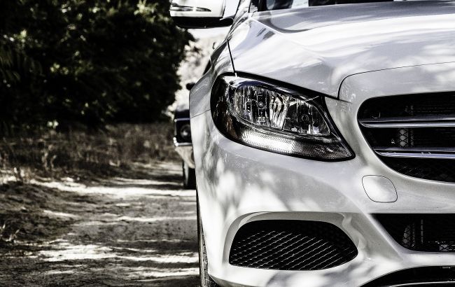 В Киеве сильный ветер: что делать если на авто упало дерево