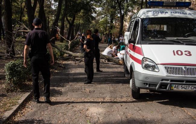 В Днепре от упавшей ветки погибла девушка