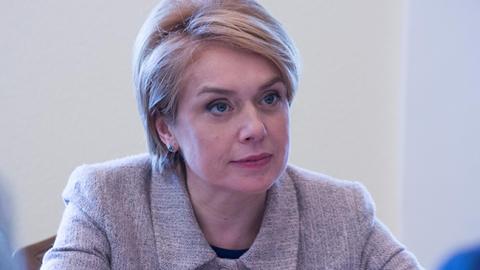 Гриневич в октябре встретится с венгерским министром для обсуждения закона об образовании