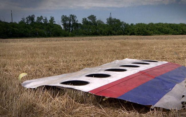 Справа MH17: двом російським свідкам надали притулок в Нідерландах