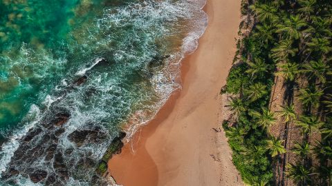 На Шрі-Ланці почався туристичний бум. Скільки коштують путівки для українських туристів