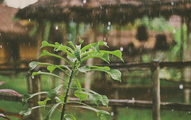 Синоптик розповіла українцям, якою буде погода на вихідних