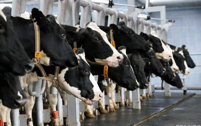 Казахстан знімає обмеження на імпорт молочної продукції 8 українських підприємств