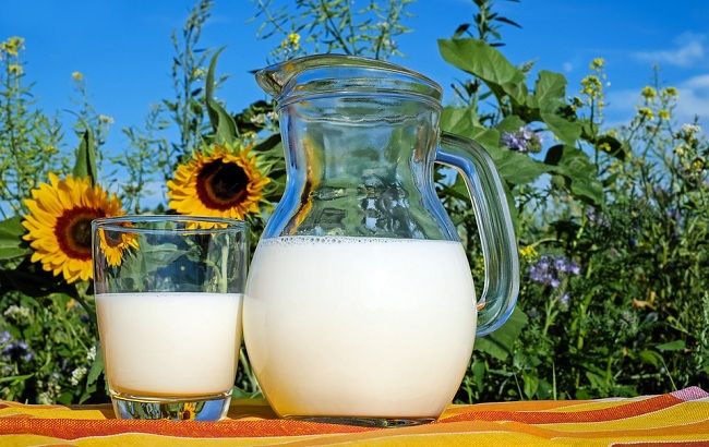 Альтернативи коров'ячому молоку: яке вибрати і як приготувати самим