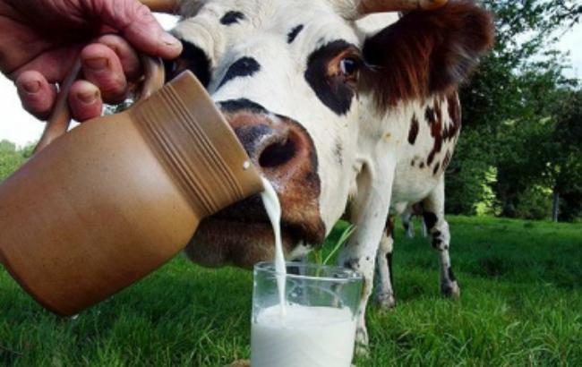 Производство молока в 2015 г. ожидается в объеме 11 млн тонн, - МинАП