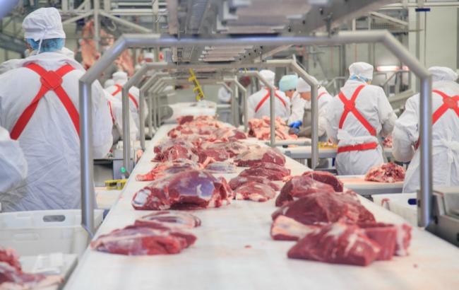 Производство мяса в Украине за 3 месяца 2017 осталось на уровне прошлого года 