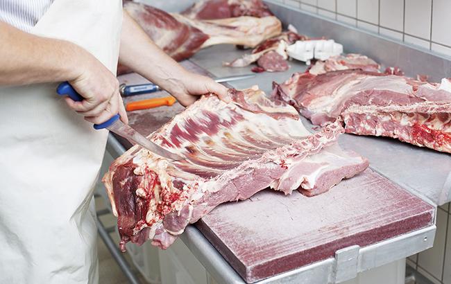Производство мяса в Украине за 5 месяцев 2017 выросло на 0,5%