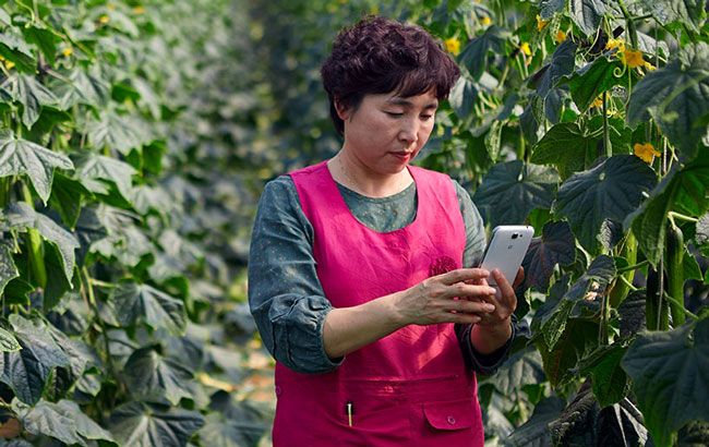 Мобильный для трактора: технологии помогут аграриям повысить эффективность