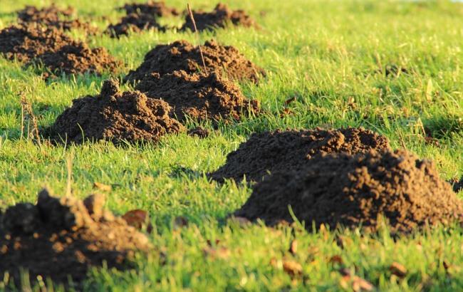 У Полтавській області бійці АТО сперечаються з фермерами про право на землю